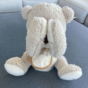 Cuddle Barn singing Peek a Boo bear